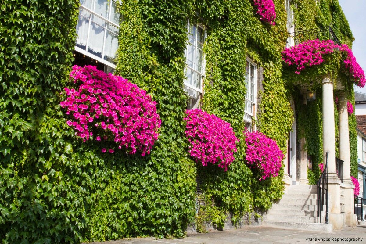Angel Hotel Bury St. Edmunds Εξωτερικό φωτογραφία